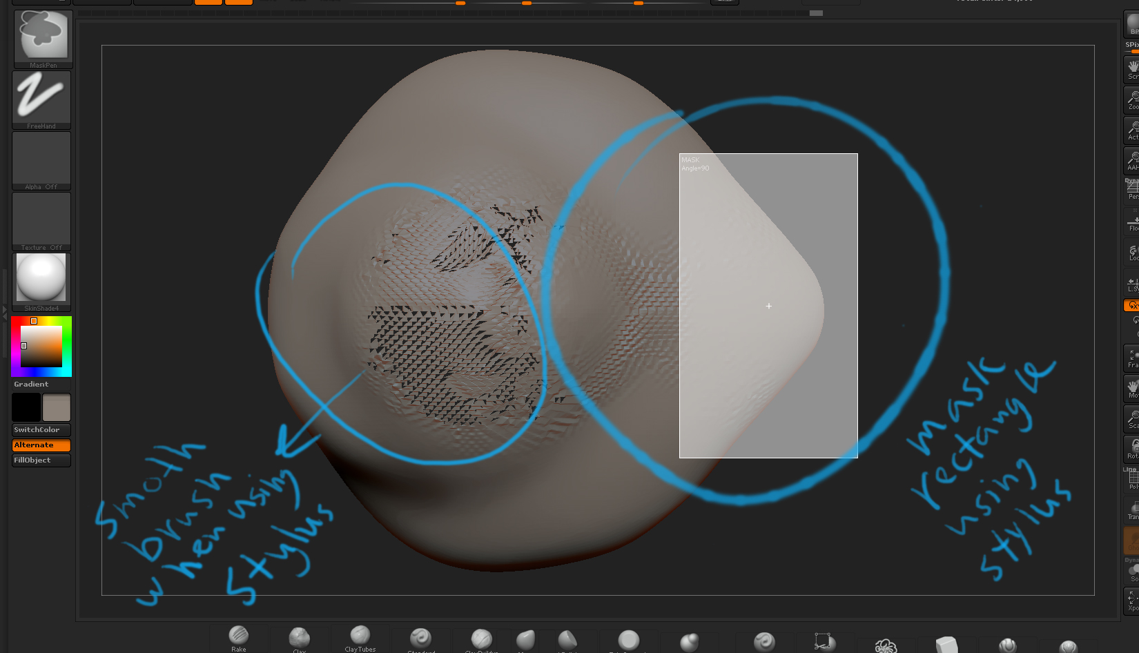 zbrush.jpg