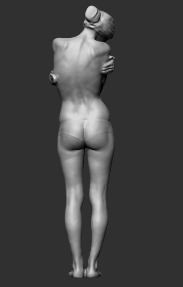 fem anatom4.jpg