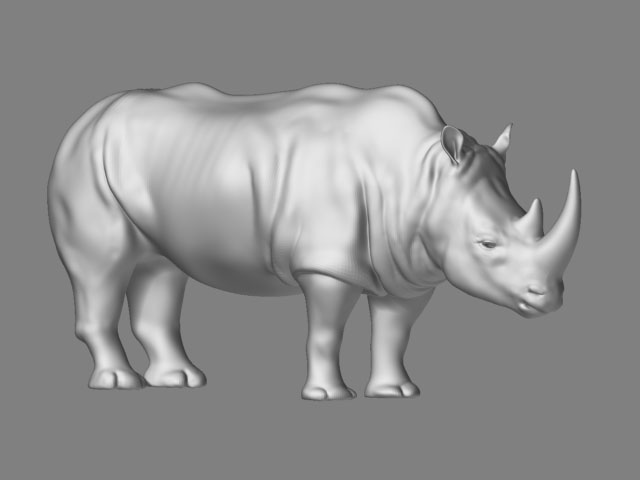 rhino02.jpg