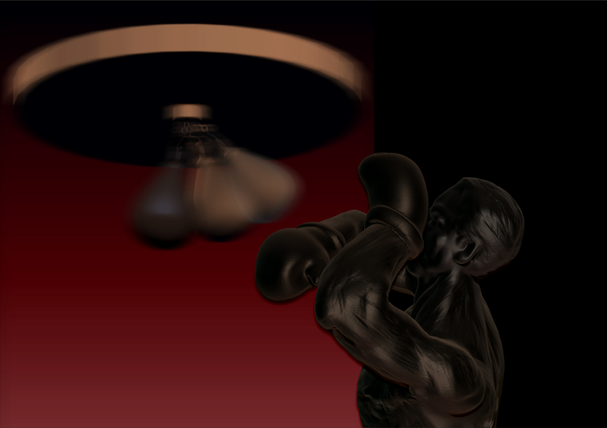 SPEED BAG BOXER 12.jpg