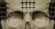 SPIKED SKULL 1.jpg