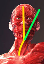 example.jpg
