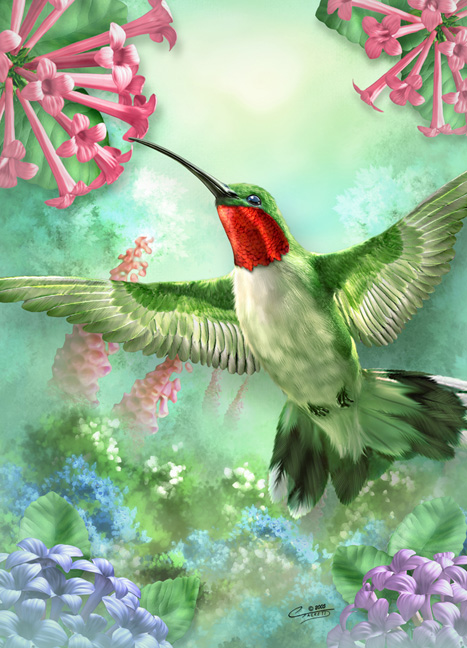 Hummingbird.jpg