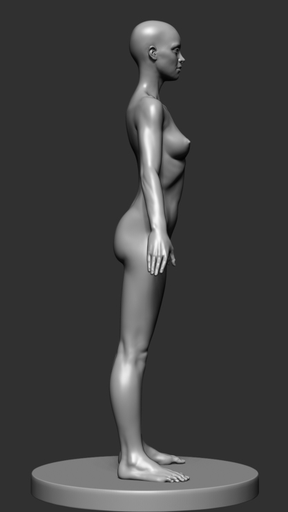 fem_anatomy_v2_04.jpg