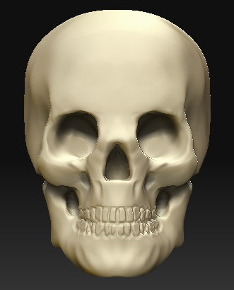 skull.jpg