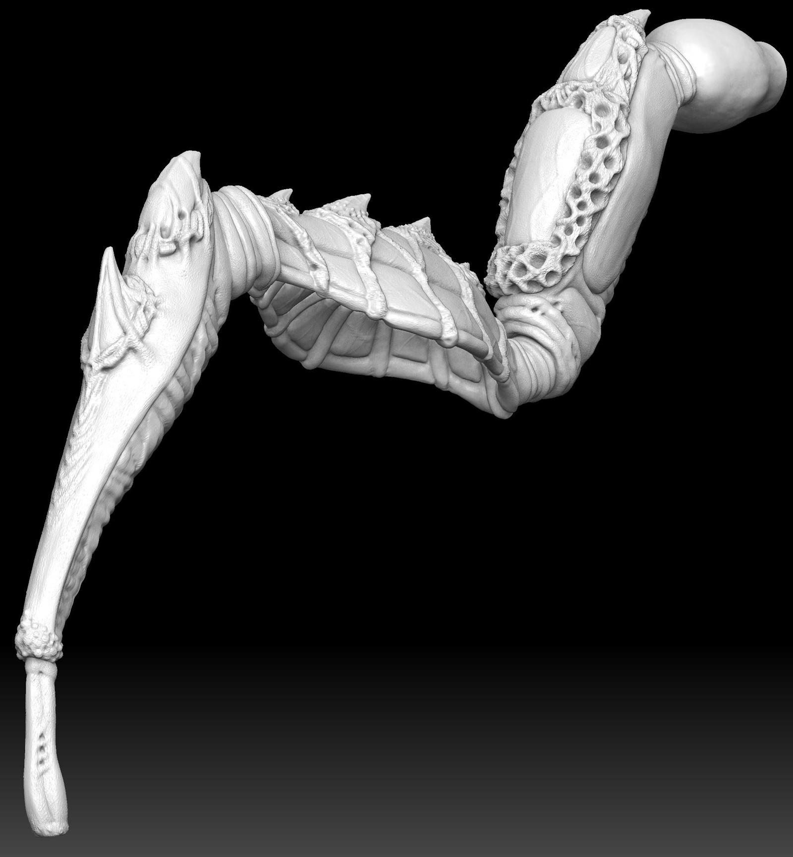 leg.jpg