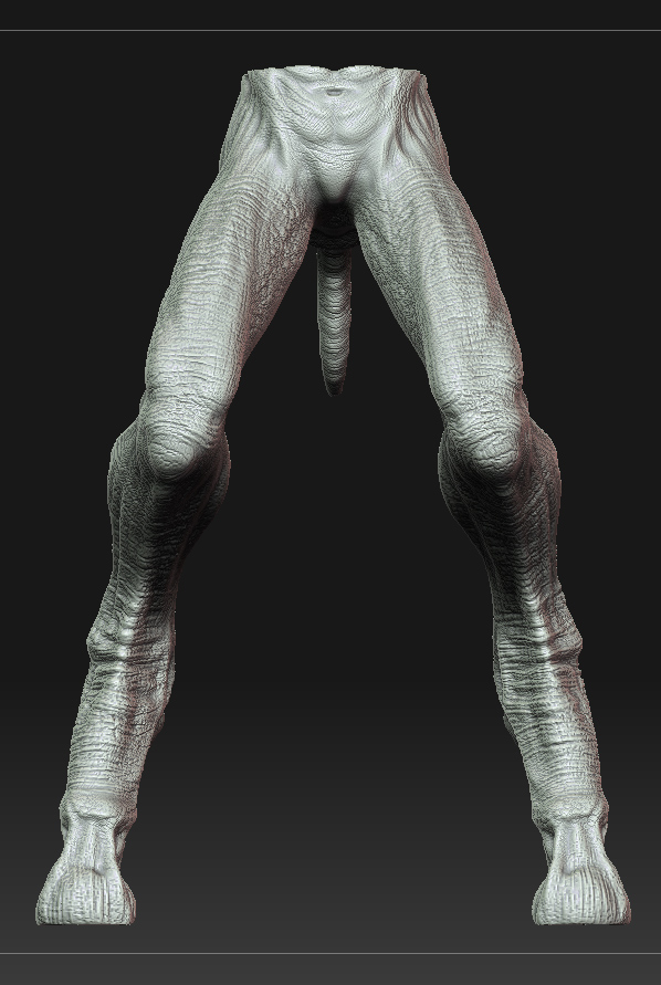 Legs_Front01.jpg
