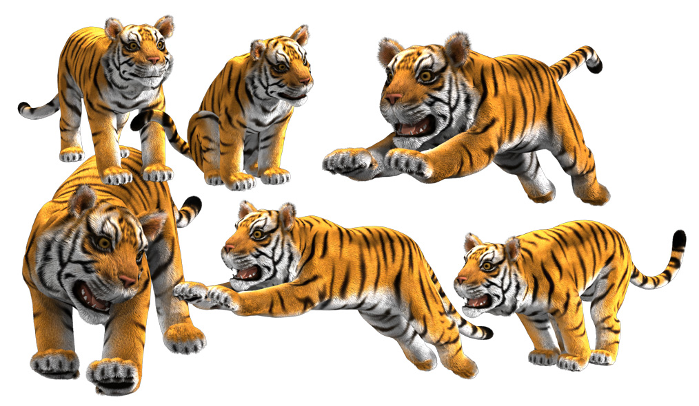 Tiger-render.jpg