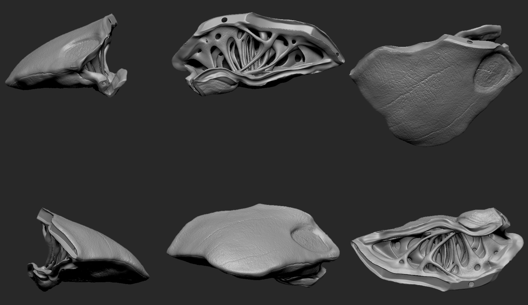 CHA_AlienSkull_20150303_PrintFile_Skull03_VariousViews_DP.jpg