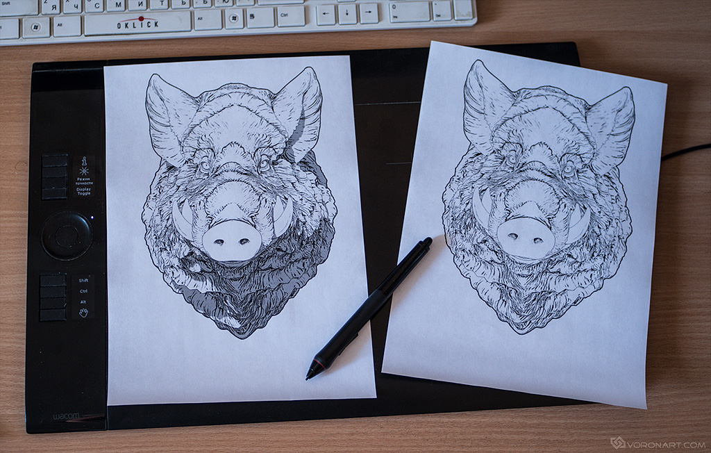 wild-boar-coloring-page-from-3d-sculpt-01.jpg