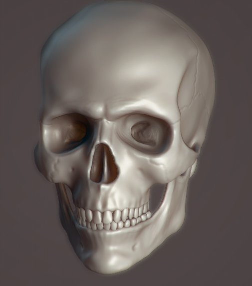 SkullPractice.jpg