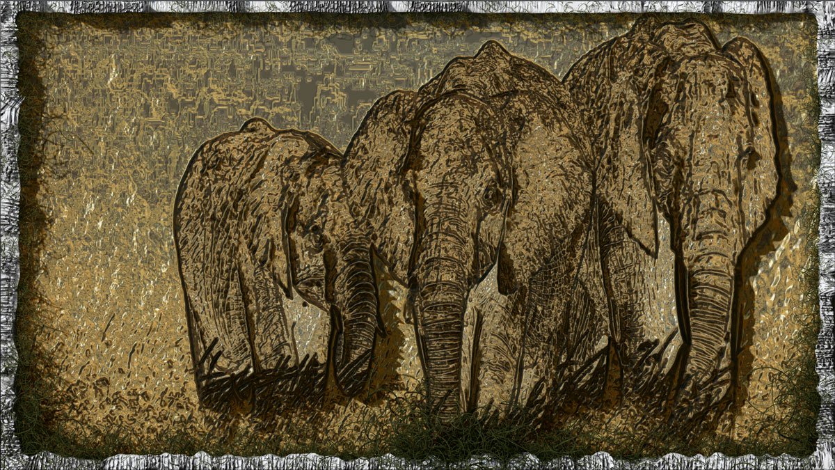 Paper-Elephants-4.jpg