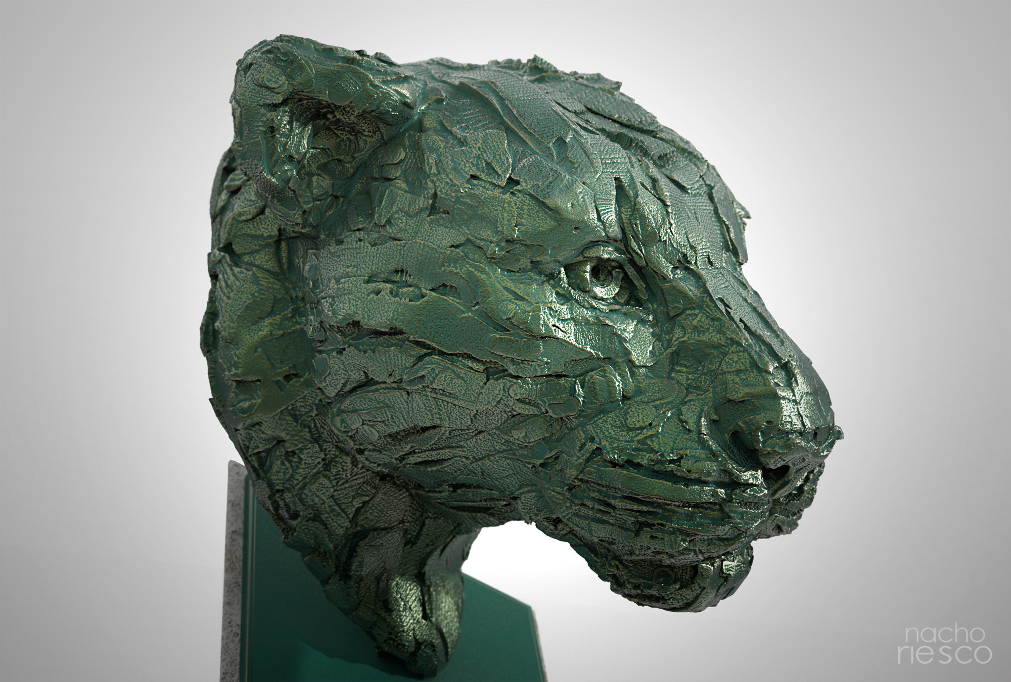 leopardo-bronce2_500k.jpg