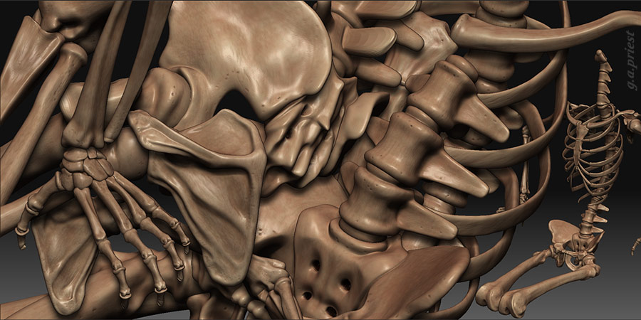 wip19a.jpg