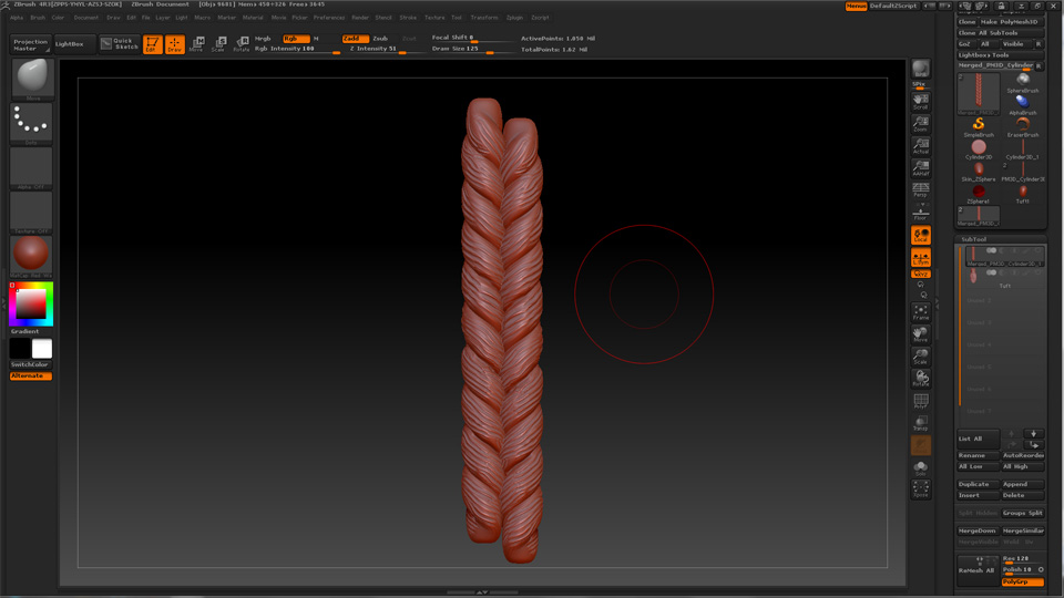 zBrush_BRAID.jpg