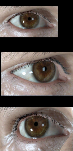 New eyes test.jpg