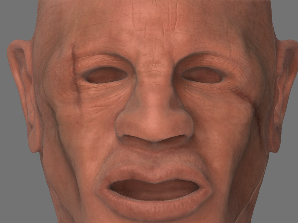 closeup.jpg
