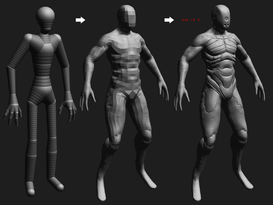 sculpting stages.jpg