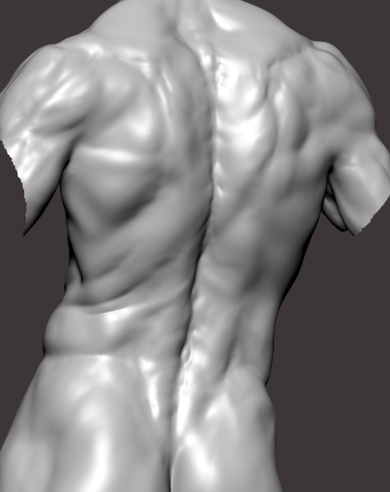 wip.jpg