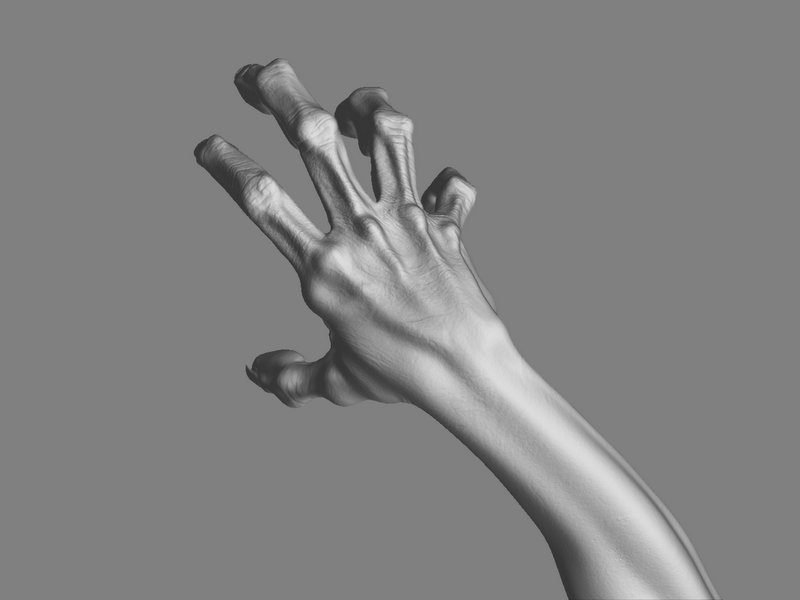 hand_displ_view01.jpg