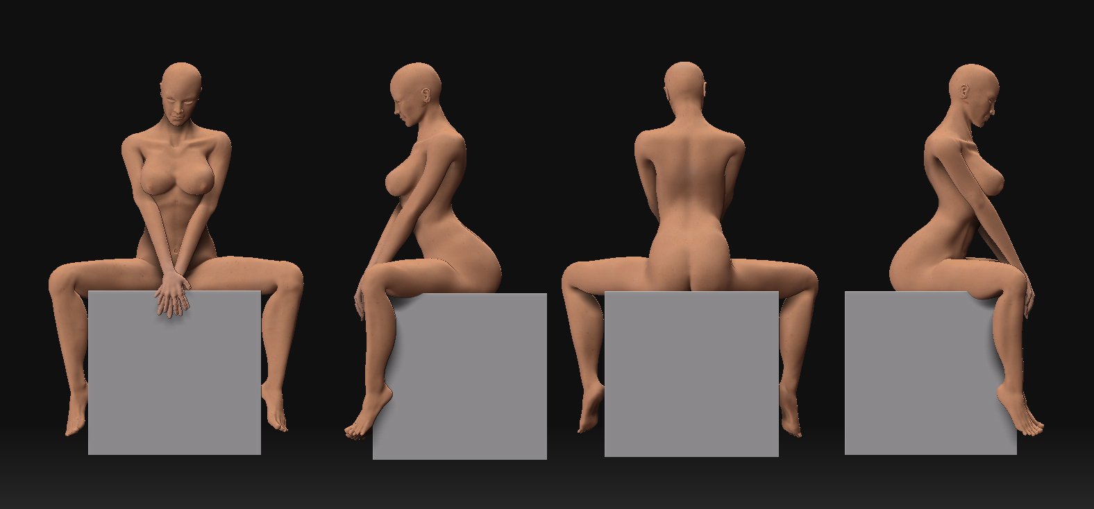 wip2.jpg