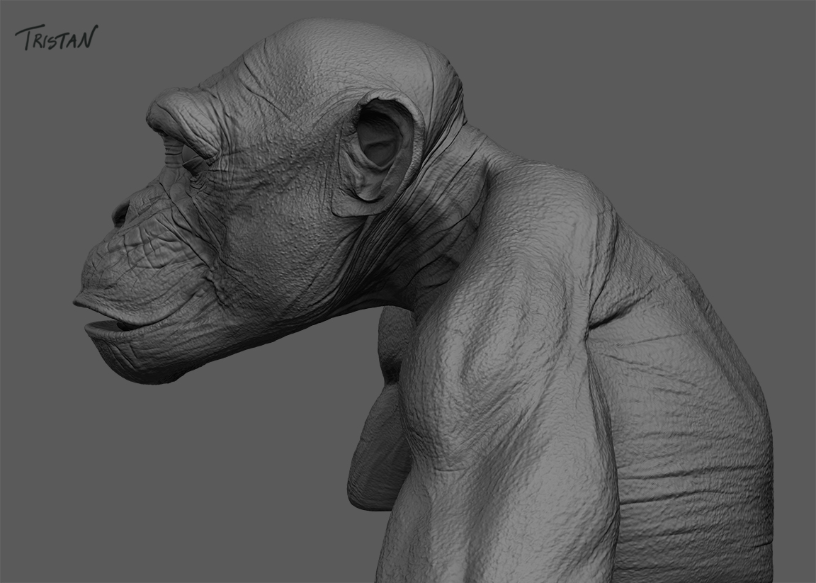 Monkey_WIP_V2_05.jpg