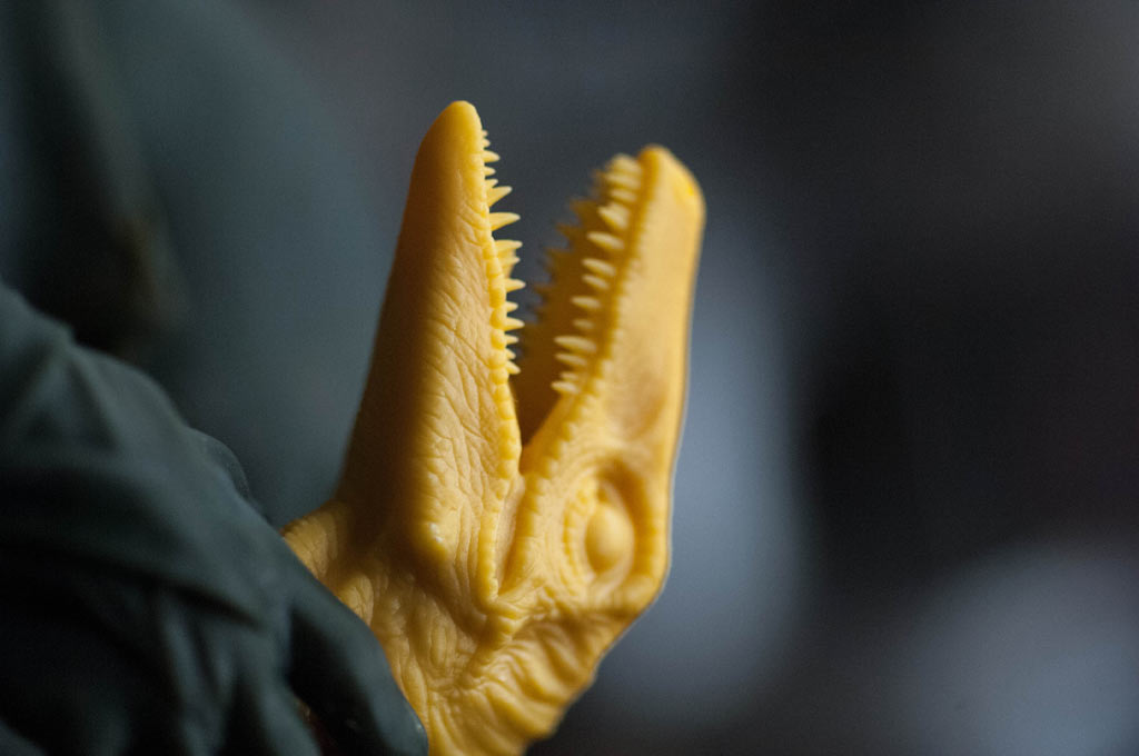 dinosaur1.jpg