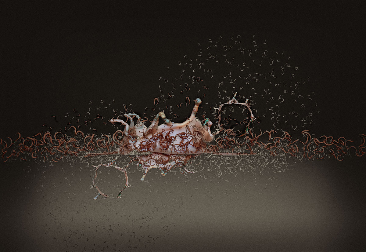 HairySplash.jpg