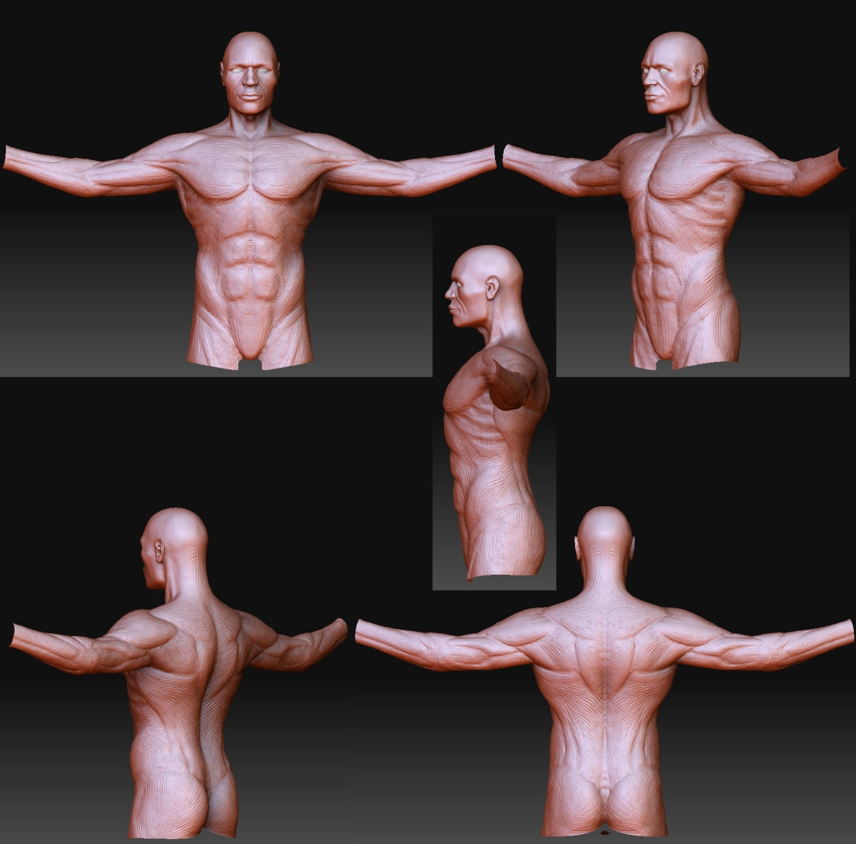 body.jpg