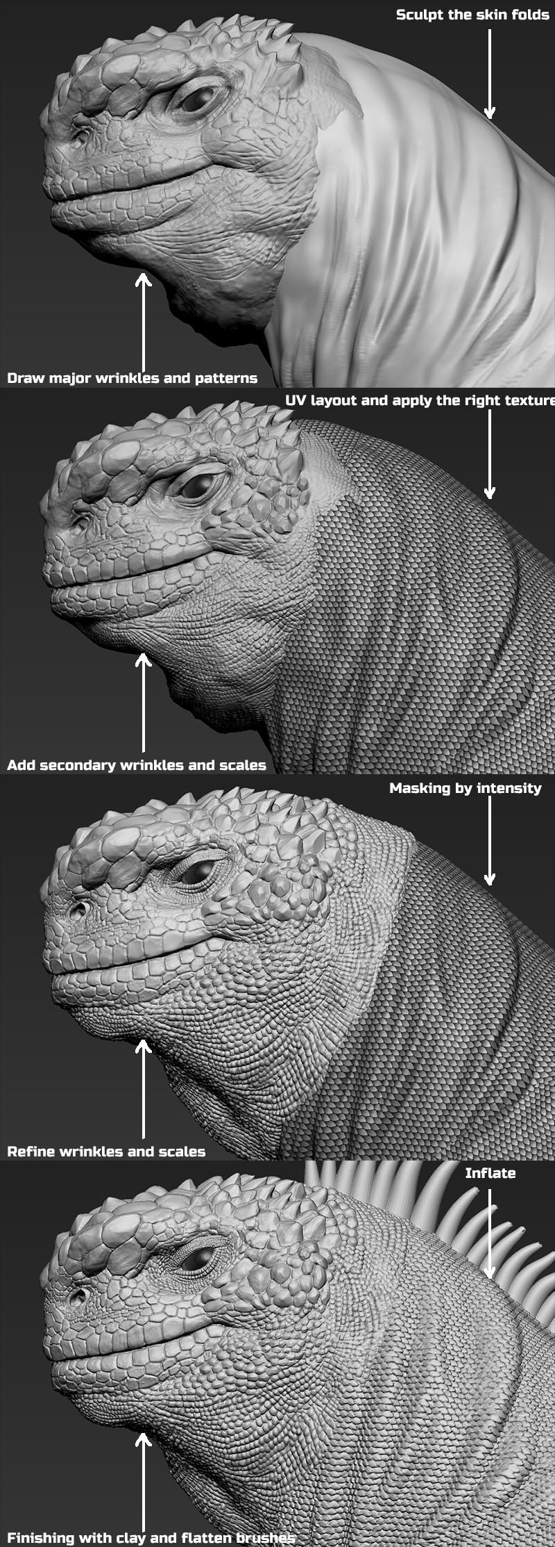 iguana_progress.jpg