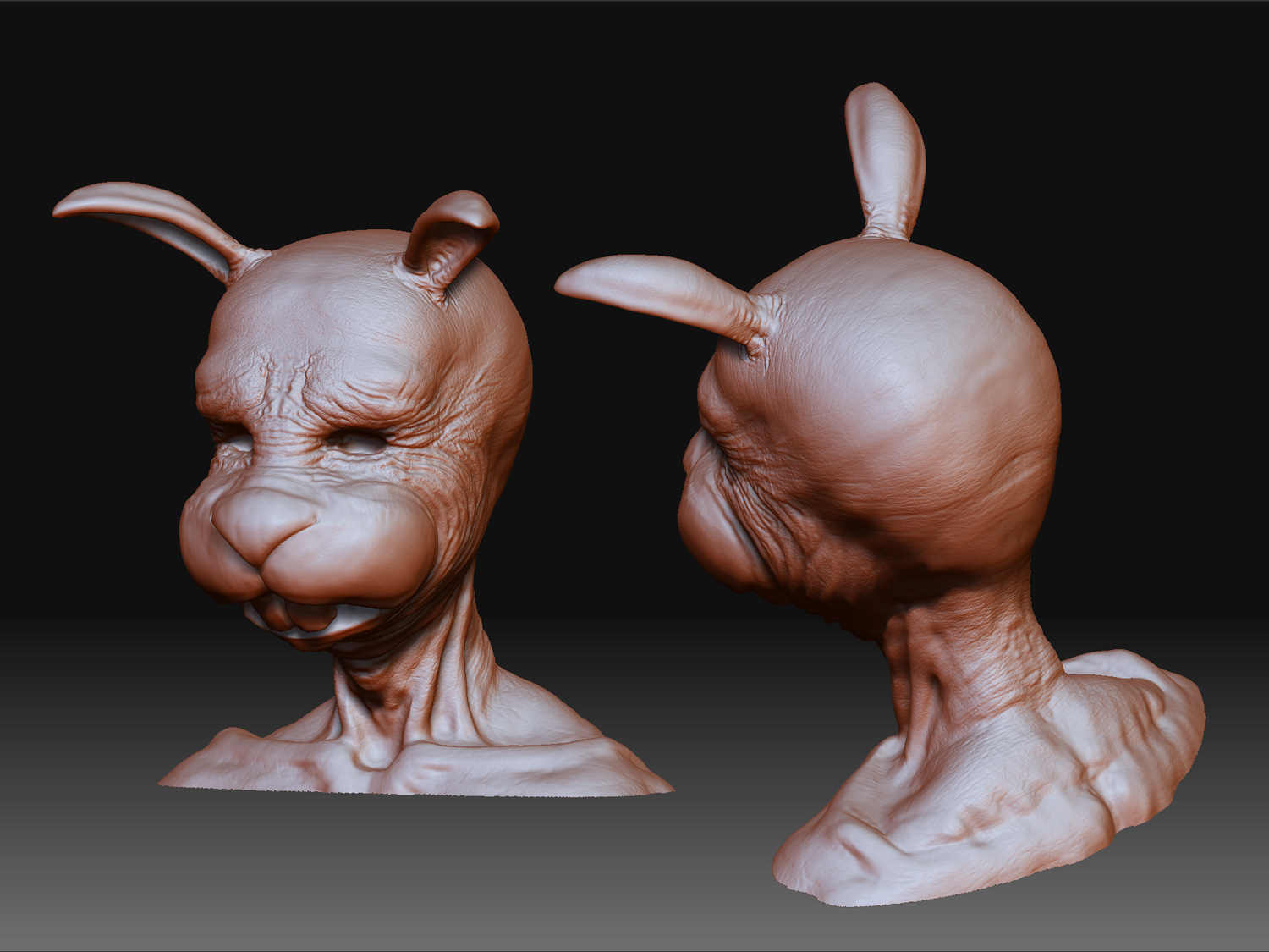 4_closeup.jpg
