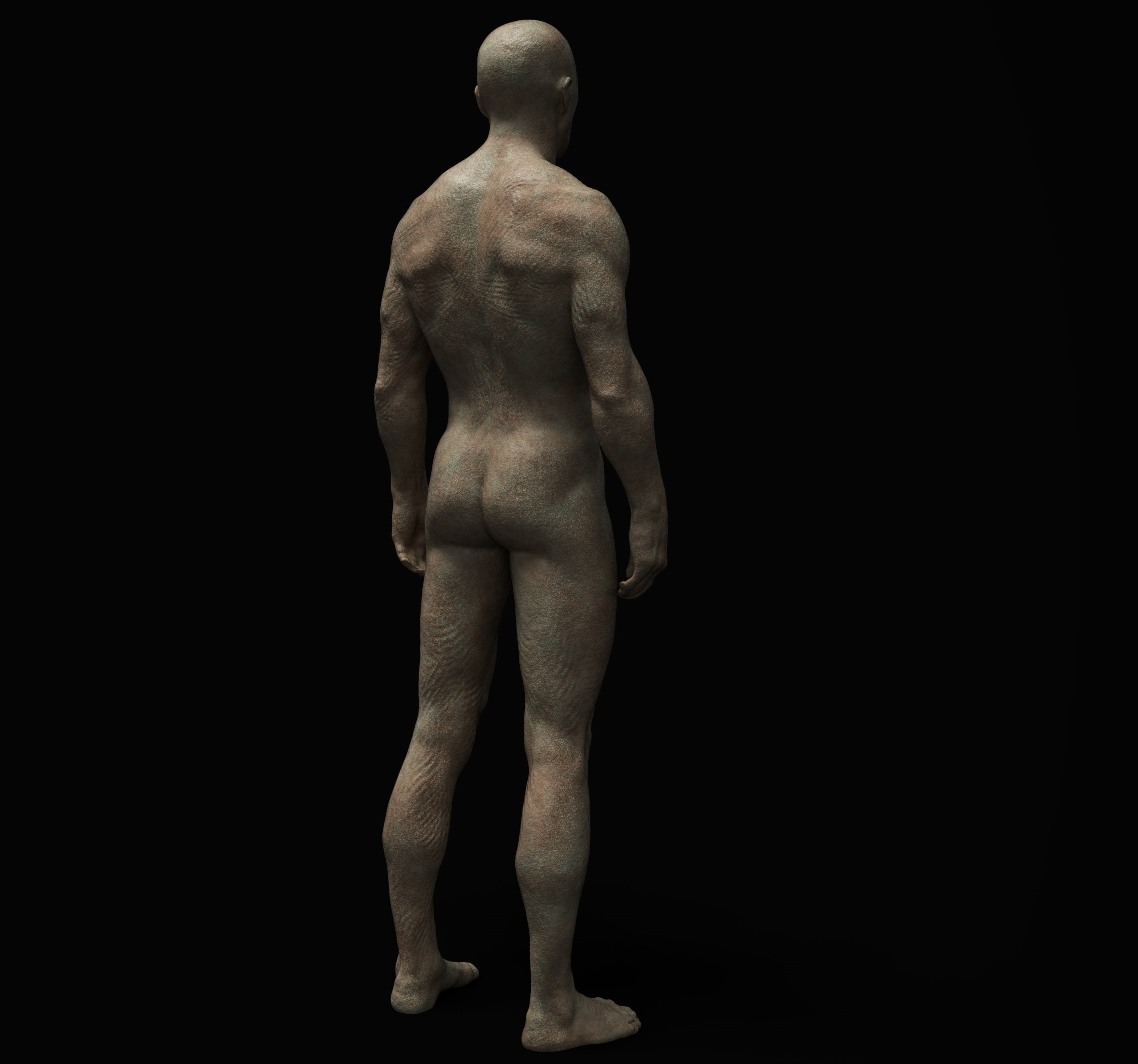 Anatomy6.jpg