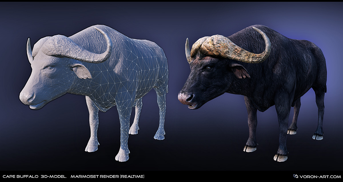 cape-buffalo_3d-model_marmoset02.jpg