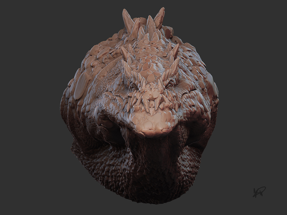 Hydrodon5_web.jpg