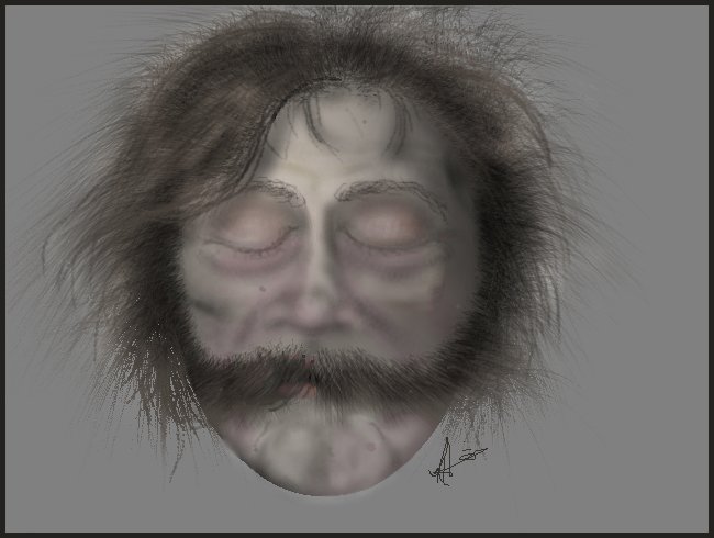 HairRequestbyDan1j2.jpg