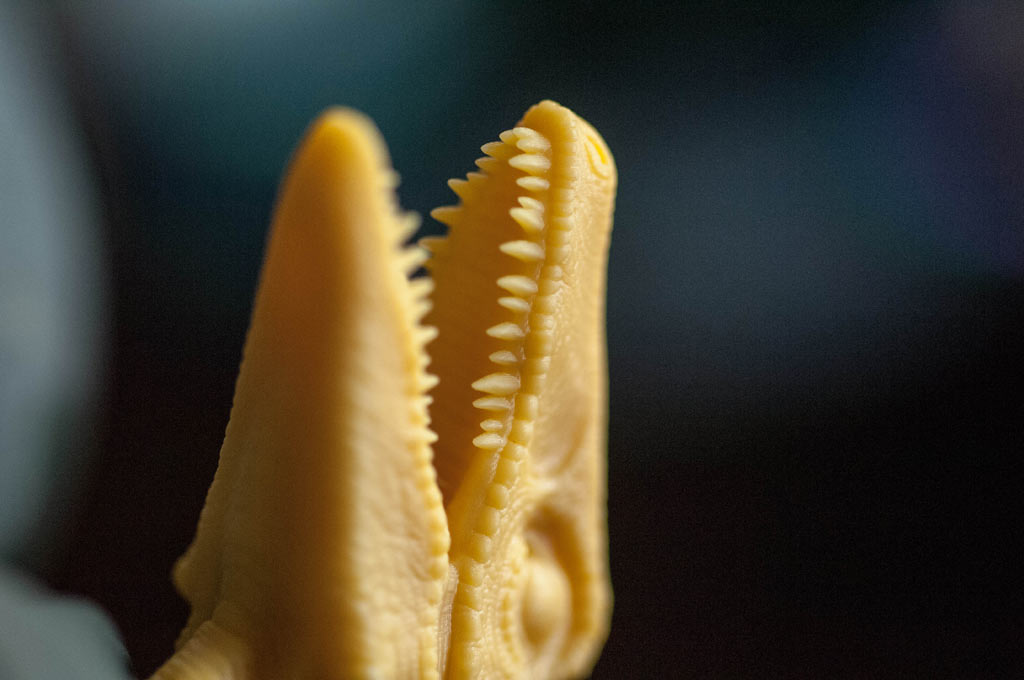 dinosaur2.jpg