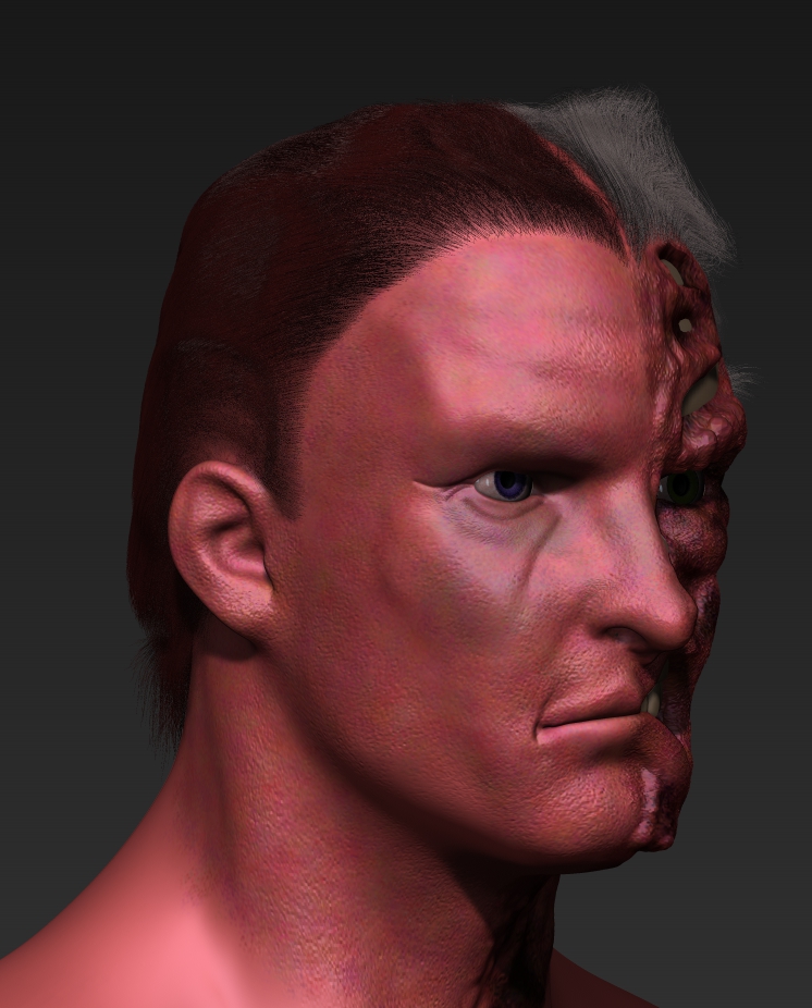 twoface2.jpg