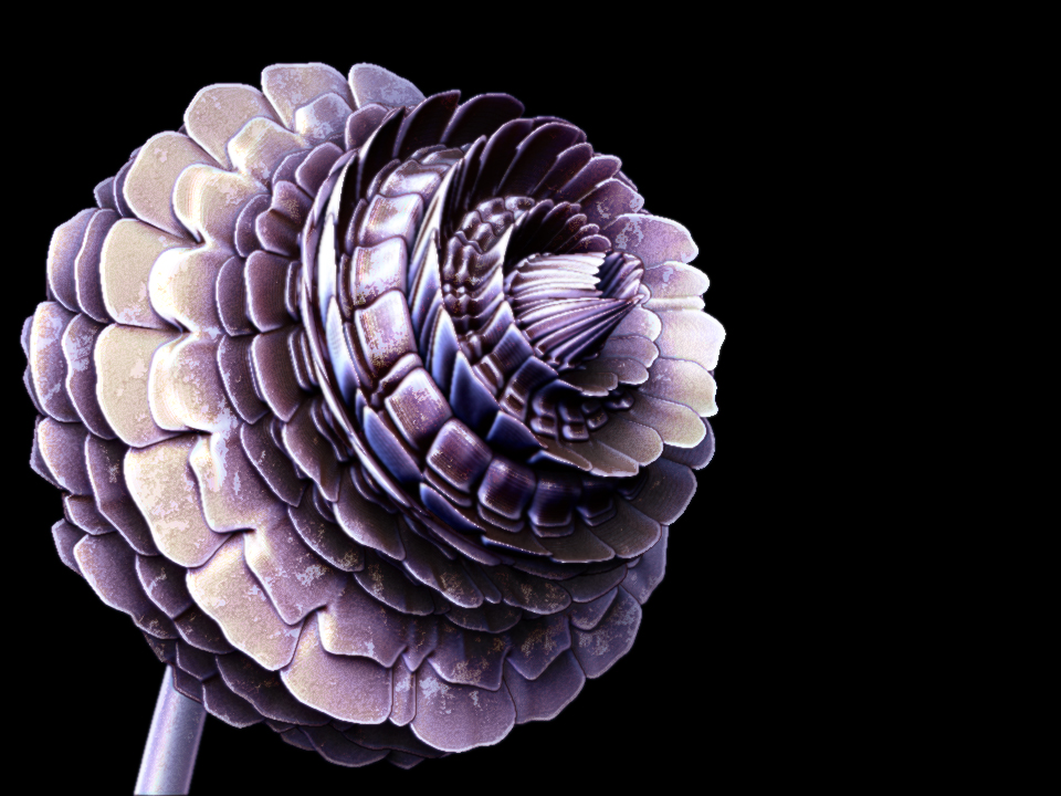 flower_comp.jpg