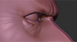 t.jpg