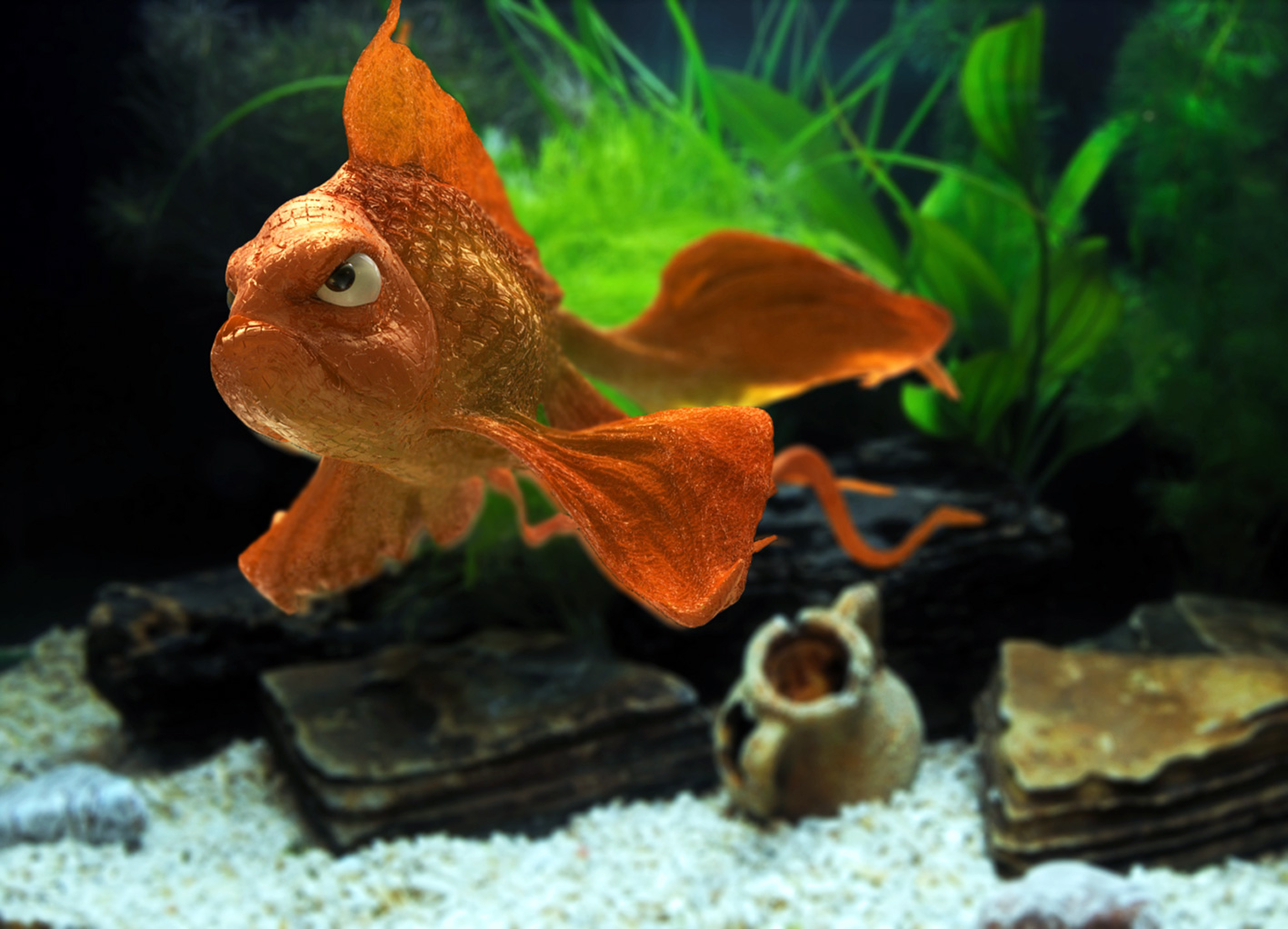 goldfish.jpg