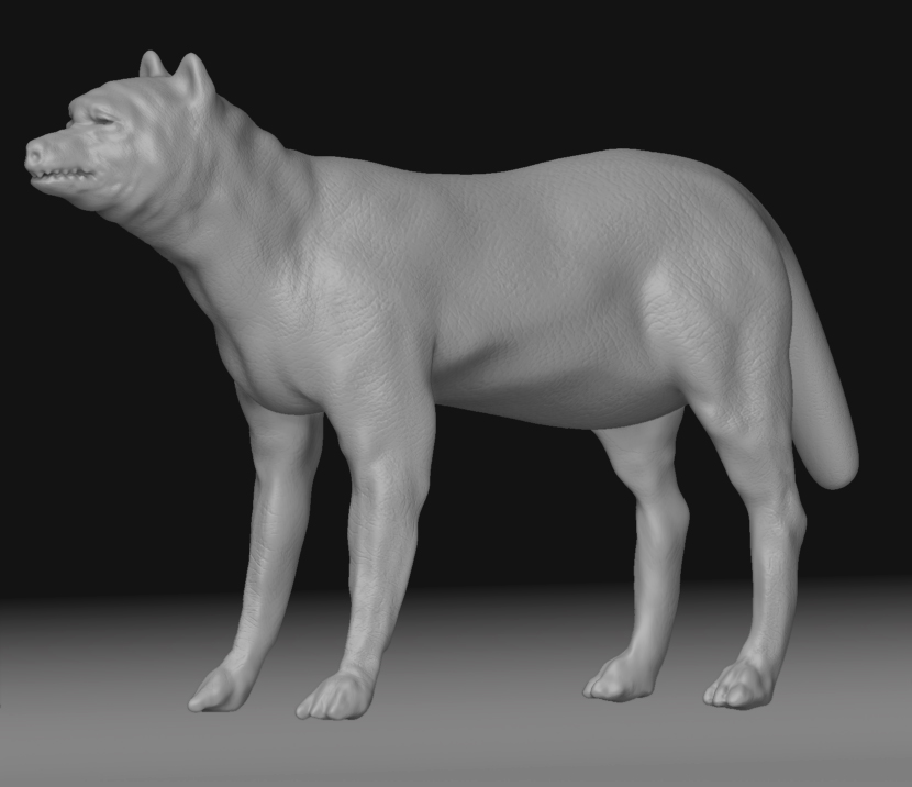Wolf020.jpg