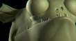 t.jpg