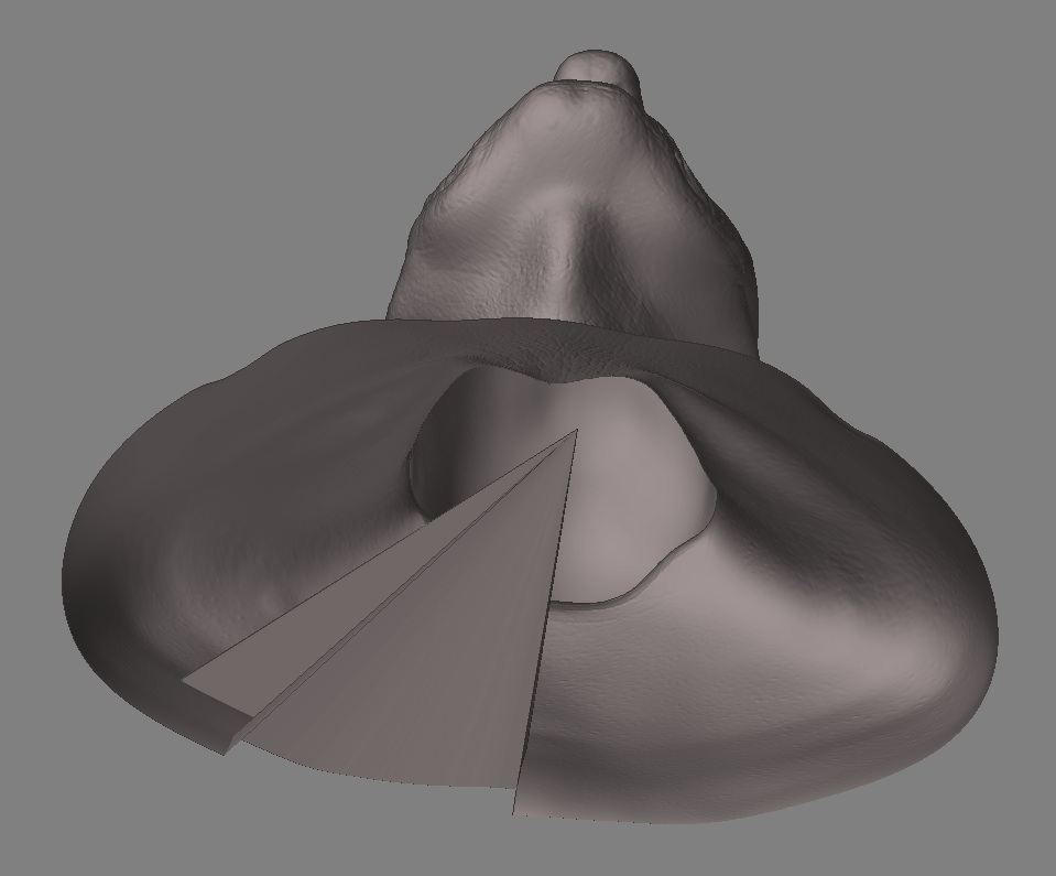 ZBrush Document-problems.jpg