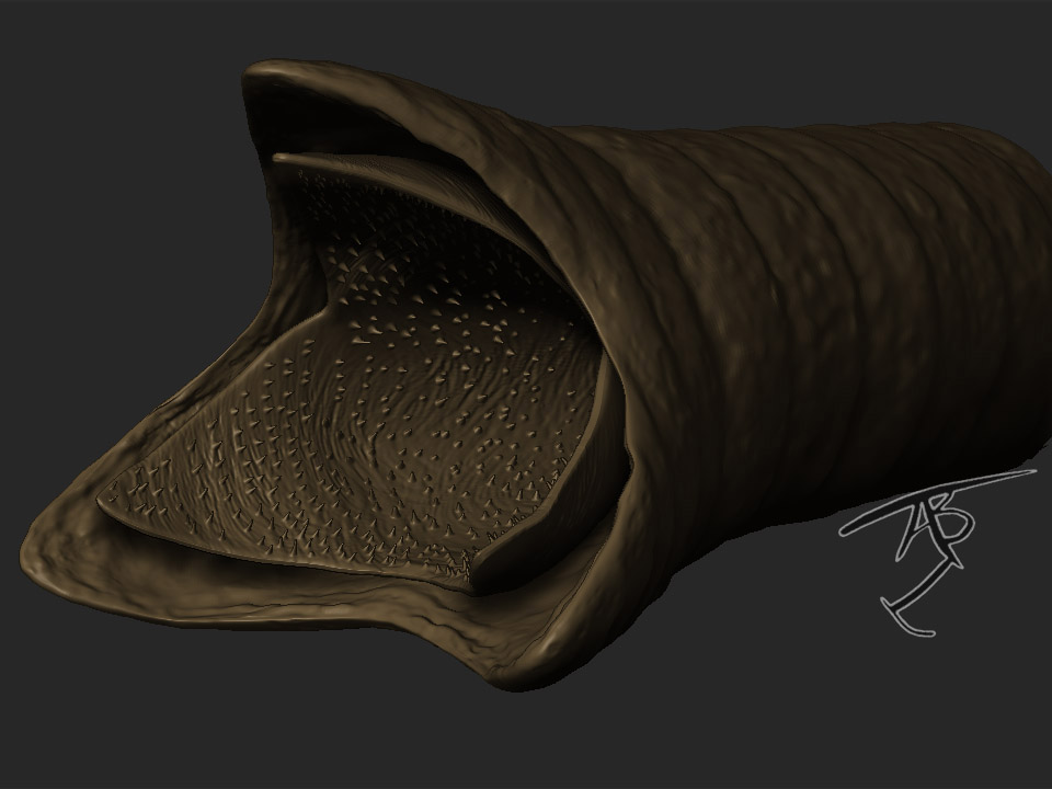 duneworm7.jpg