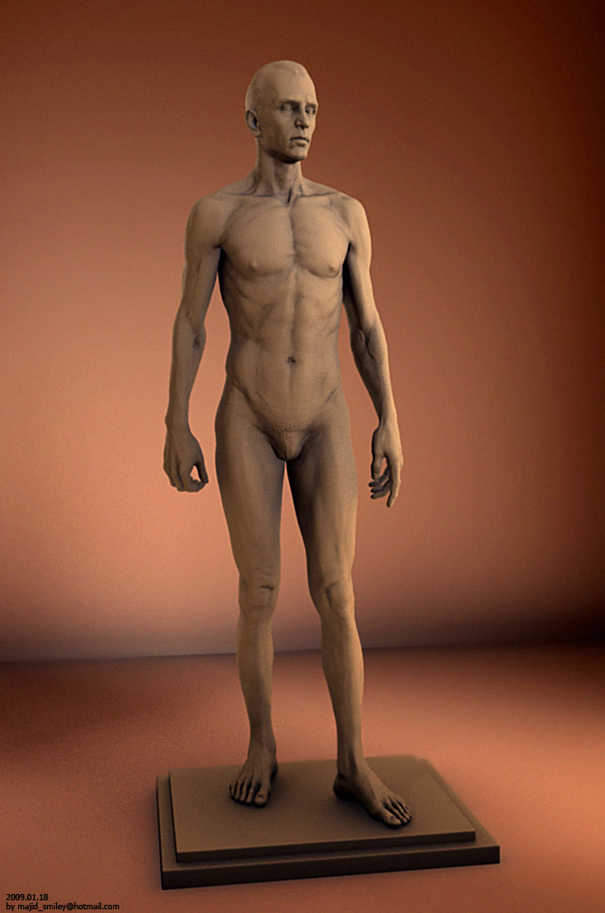 male_render_01.jpg