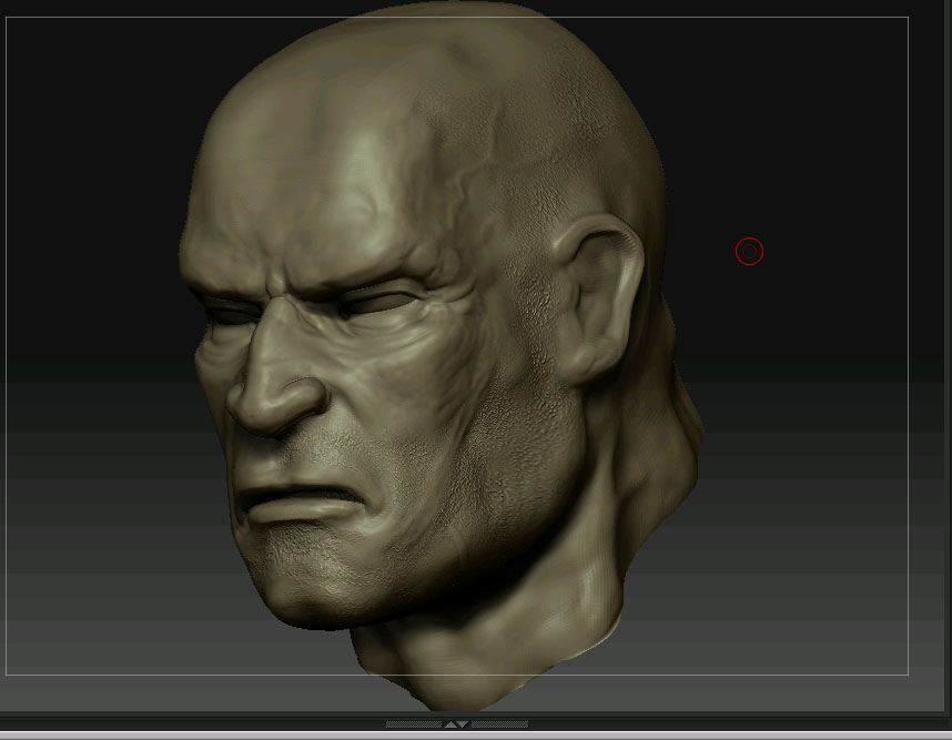 head3viewzbrush.jpg