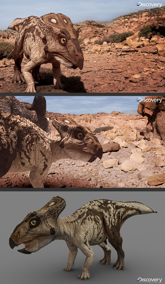 ProtoceratopsBaby(zbc).jpg