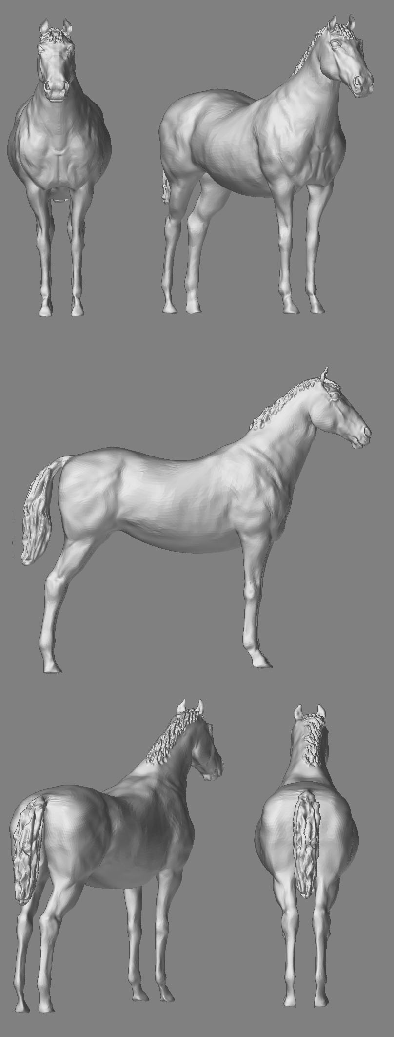 horse4.jpg