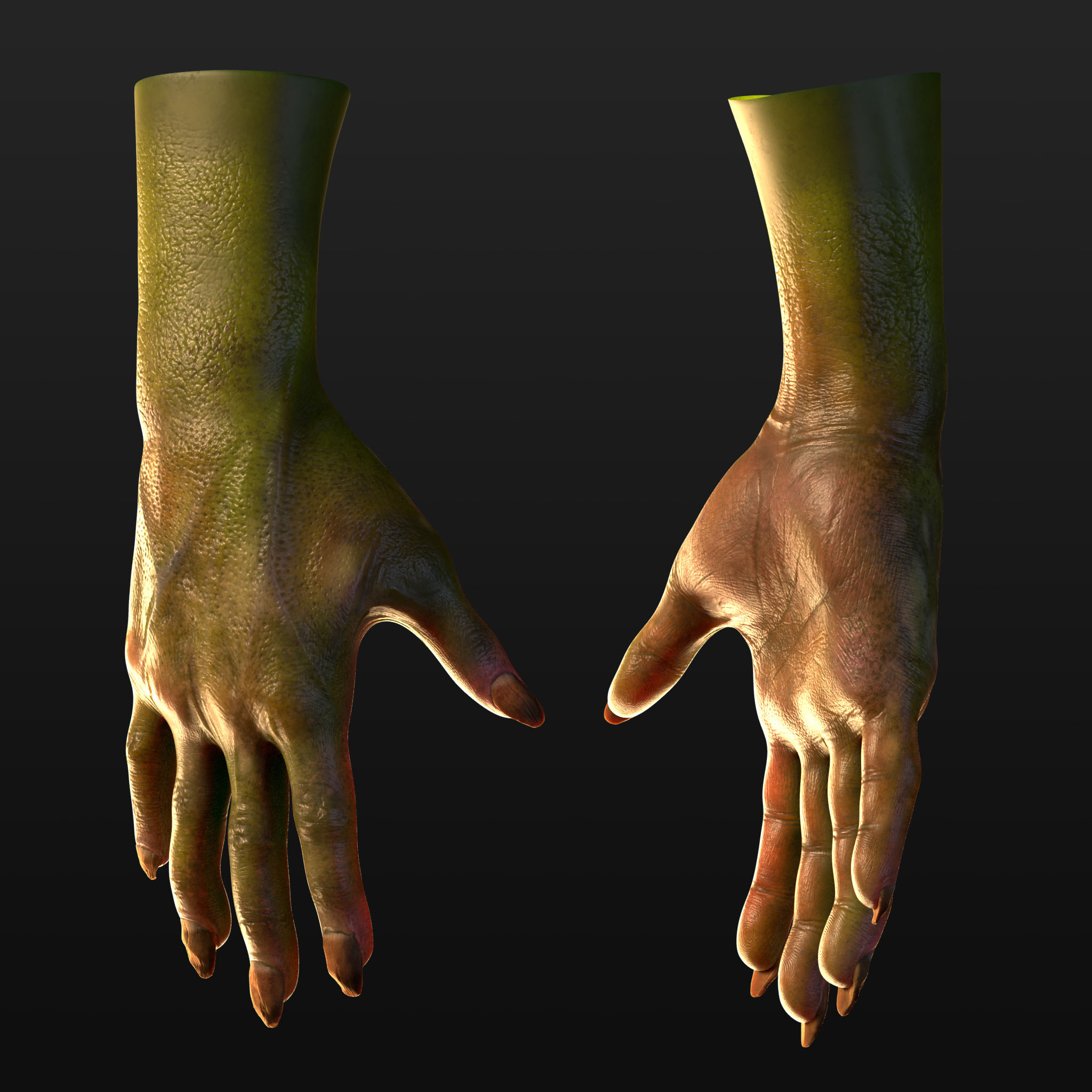 Hand.jpg