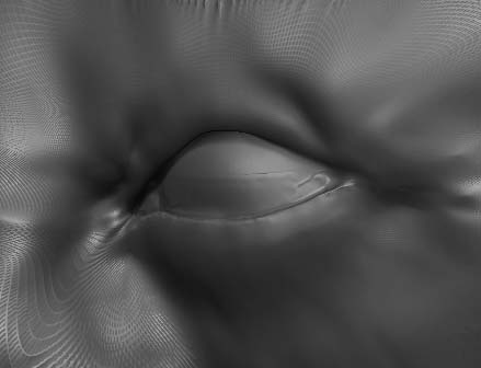 eye3.jpg